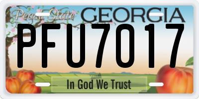 GA license plate PFU7017