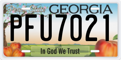 GA license plate PFU7021