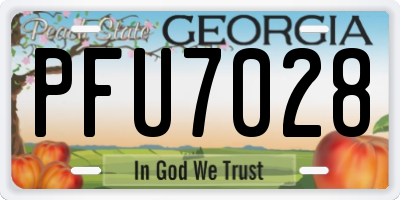 GA license plate PFU7028