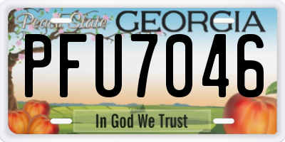 GA license plate PFU7046