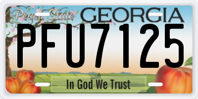 GA license plate PFU7125