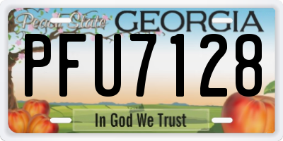 GA license plate PFU7128