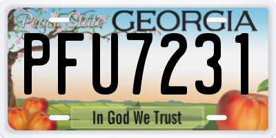 GA license plate PFU7231