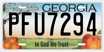GA license plate PFU7294