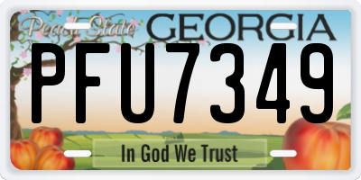 GA license plate PFU7349