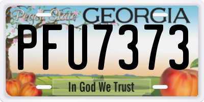 GA license plate PFU7373