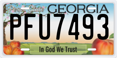 GA license plate PFU7493