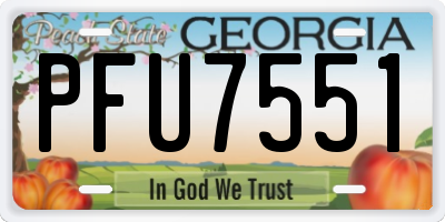GA license plate PFU7551
