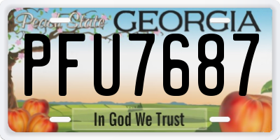 GA license plate PFU7687