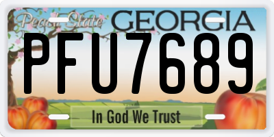 GA license plate PFU7689