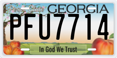 GA license plate PFU7714