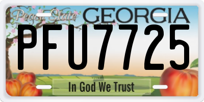 GA license plate PFU7725