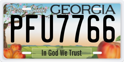 GA license plate PFU7766