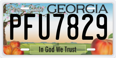 GA license plate PFU7829