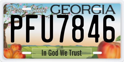 GA license plate PFU7846