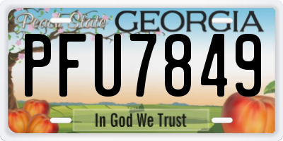 GA license plate PFU7849