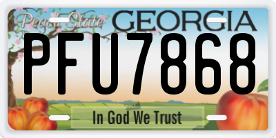 GA license plate PFU7868
