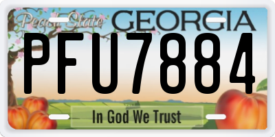 GA license plate PFU7884