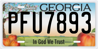 GA license plate PFU7893