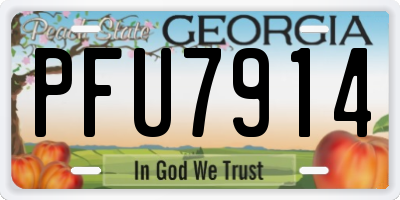 GA license plate PFU7914