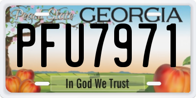GA license plate PFU7971