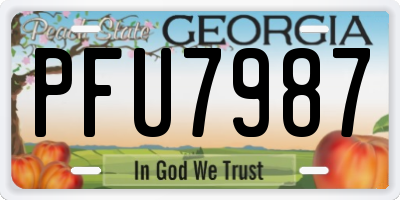 GA license plate PFU7987