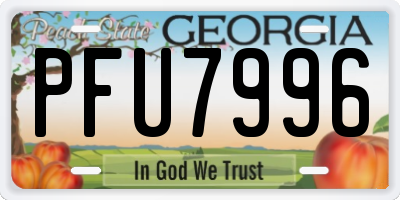GA license plate PFU7996