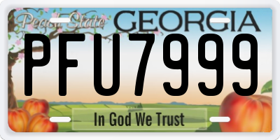 GA license plate PFU7999
