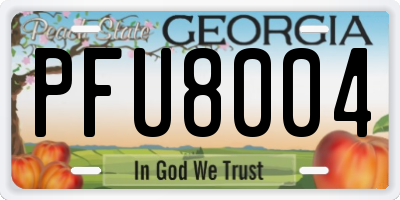 GA license plate PFU8004