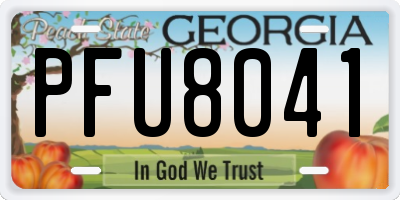 GA license plate PFU8041