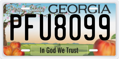 GA license plate PFU8099