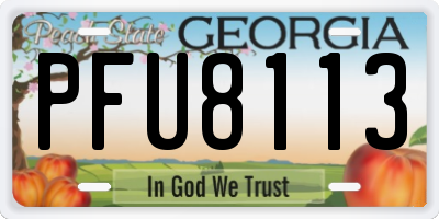 GA license plate PFU8113