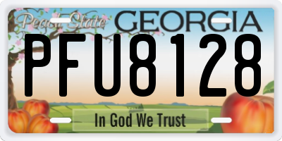 GA license plate PFU8128