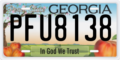 GA license plate PFU8138