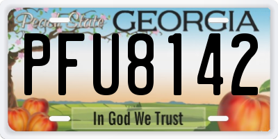 GA license plate PFU8142