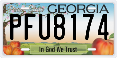 GA license plate PFU8174
