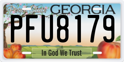 GA license plate PFU8179