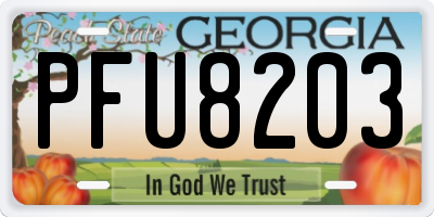 GA license plate PFU8203