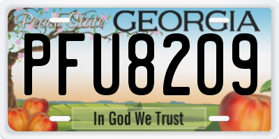 GA license plate PFU8209