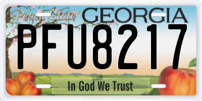 GA license plate PFU8217