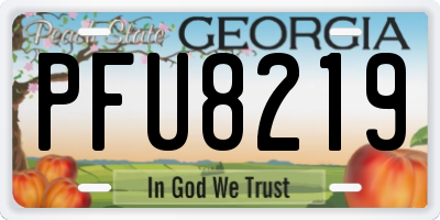 GA license plate PFU8219