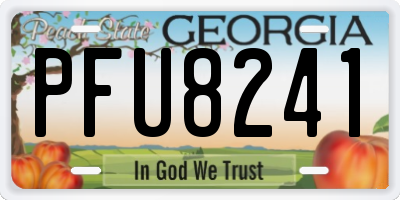 GA license plate PFU8241