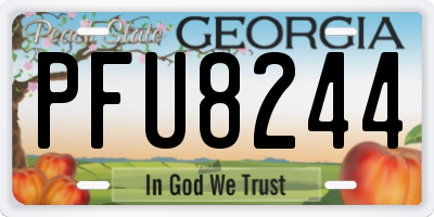 GA license plate PFU8244