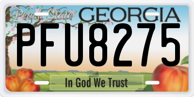 GA license plate PFU8275