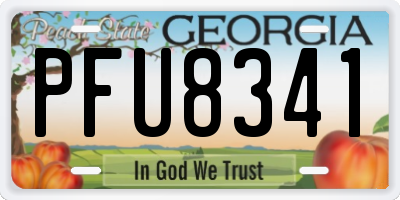 GA license plate PFU8341