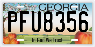 GA license plate PFU8356