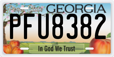 GA license plate PFU8382