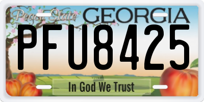GA license plate PFU8425