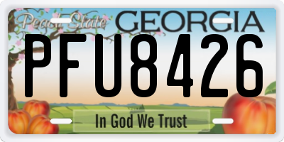 GA license plate PFU8426