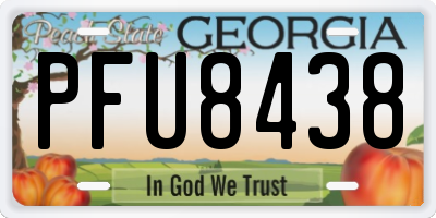 GA license plate PFU8438